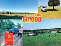 Đất gần biển, gần sân bay, giá 55.000đ/m2, có sổ đỏ Đất gần biển, gần sân bay, giá 55.000đ/m2, có sổ đỏ