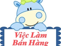 Việc làm Parttime ưu tiên Sinh Viên tại khu vực quận Gò Vấp Việc làm Parttime ưu tiên Sinh Viên tại khu vực quận Gò Vấp