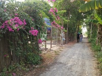 Bán gấp đất trang trại ấp 6b, Bình Mỹ, Củ Chi Bán gấp đất trang trại ấp 6b, Bình Mỹ, Củ Chi