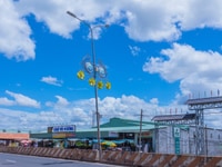 Đất mặt tiền đường nhựa, liền kề 2 trường học Đất mặt tiền đường nhựa, liền kề 2 trường học