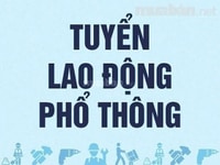 Siêu thị mini tuyển dụng bổ sung sau mùa dịch bán hàng,tư vấn,kế toán. Siêu thị mini tuyển dụng bổ sung sau mùa dịch bán hàng,tư vấn,kế toán.