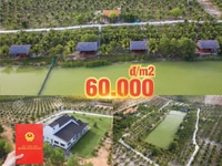 Đất bắc bình, gần sân bay, giá chỉ 60k, có sổ công chứng Đất bắc bình, gần sân bay, giá chỉ 60k, có sổ công chứng