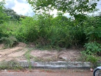 Bán đất siêu dẻ chỉ có tại khu phân lô An Trì Hùng Vương diện tích 60m Bán đất siêu dẻ chỉ có tại khu phân lô An Trì Hùng Vương diện tích 60m