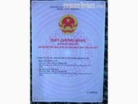 Bán nhà 45-47 đường khánh hội quận 4 dt 8x28 giá 55 tỷ lhcc Bán nhà 45-47 đường khánh hội quận 4 dt 8x28 giá 55 tỷ lhcc