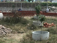 Bán căn nhà vườn có hồ câu cá 500 m2 ở ấp 6 vĩnh lộc B Bình Chánh Bán căn nhà vườn có hồ câu cá 500 m2 ở ấp 6 vĩnh lộc B Bình Chánh