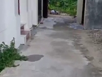 Bán lô đất 500 triệu tại Quỳnh Hoàng hướng Nam Bán lô đất 500 triệu tại Quỳnh Hoàng hướng Nam
