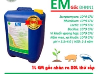 Bạn nên mua chế phẩm sinh học EM gốc của Trường Nông nghiệp Hà Nội Bạn nên mua chế phẩm sinh học EM gốc của Trường Nông nghiệp Hà Nội