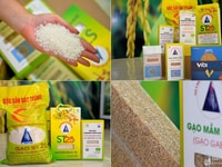 Cửa hàng Gạo ST25 Chính Hãng Sóc Trăng | Gạo Phương Nam Cửa hàng Gạo ST25 Chính Hãng Sóc Trăng | Gạo Phương Nam
