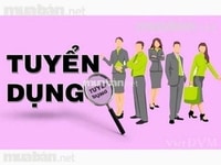 Cần tuyển gấp vị trí bán hàng & thu ngân tại siêu thị Mini Cần tuyển gấp vị trí bán hàng & thu ngân tại siêu thị Mini