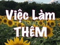 Việc làm thêm parttime ưu tiên sinh viên khu vực Quận 12 Việc làm thêm parttime ưu tiên sinh viên khu vực Quận 12