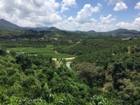 Bán đất nghỉ dưỡng diện tích 2032m2 giá rẻ, view tuyệt đẹp tp bảo lộc Bán đất nghỉ dưỡng diện tích 2032m2 giá rẻ, view tuyệt đẹp tp bảo lộc