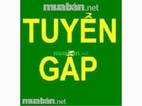 Siêu Thị Mini ,cần nhân viên Bán Hàng ( có bán thời gian ). Siêu Thị Mini ,cần nhân viên Bán Hàng ( có bán thời gian ).