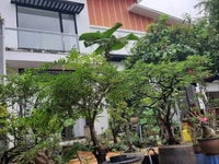 Ông 6 bán Biệt thự 2 lầu gần 400m2 Phạm Văn Đồng P1 Gò Vấp. Ông 6 bán Biệt thự 2 lầu gần 400m2 Phạm Văn Đồng P1 Gò Vấp.