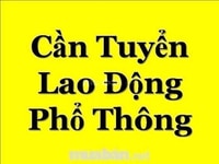 Siêu Thị trực tiếp nhận Nam/nữ - có bán thời gian Siêu Thị trực tiếp nhận Nam/nữ - có bán thời gian