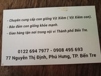 Bán vịt xiêm con, vịt xiêm giống, Bán vịt xiêm con, vịt xiêm giống,