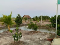 bán đất Phước Khánh Nhơn Trạch đường hiện hữu ô tô 1,59 tỷ/1002m bán đất Phước Khánh Nhơn Trạch đường hiện hữu ô tô 1,59 tỷ/1002m