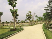 Chính chủ cần bán đất Mega City hot nhất Thị xã Bến Cát Chính chủ cần bán đất Mega City hot nhất Thị xã Bến Cát