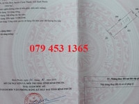 Bán đất đang trồng cây, 1000m2 - 650tr, 2 mặt tiền đuờng 8m Bán đất đang trồng cây, 1000m2 - 650tr, 2 mặt tiền đuờng 8m