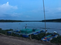 Cần bán 1000m2 đất Cây lâu năm, tt Chơn Thành, Cách QL 14 1km Cần bán 1000m2 đất Cây lâu năm, tt Chơn Thành, Cách QL 14 1km