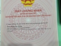 Bán xưởng mặt tiền Trần Hải Phụng, Bình Tân