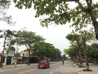 Bán đất mặt đường Hoàng Đan, Phường Nghi Thu, TX Cửa Lò Bán đất mặt đường Hoàng Đan, Phường Nghi Thu, TX Cửa Lò