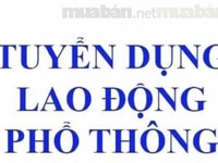 Việc làm tại hà nội, bn tuyển công nhân hỗ trợ ăn ở lại có xe đưa đón Việc làm tại hà nội, bn tuyển công nhân hỗ trợ ăn ở lại có xe đưa đón