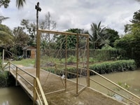 Bán Gấp Đất Vườn Bình Dương(3R) mùa COVID-19 Bán Gấp Đất Vườn Bình Dương(3R) mùa COVID-19