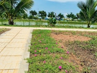 Cần bán nhà phố mặt tiền Chợ Trung Tâm Hàm Mỹ Cần bán nhà phố mặt tiền Chợ Trung Tâm Hàm Mỹ