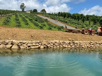 Đất biệt thự ngay trung tâm Bảo Lộc giá vùng ven Đất biệt thự ngay trung tâm Bảo Lộc giá vùng ven