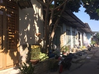 Chính chủ cho thuê hoặc bán nhà ở và xưởng Bình Chánh Chính chủ cho thuê hoặc bán nhà ở và xưởng Bình Chánh