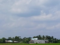 Bán đất thổ vườn 1.000m2 kênh 10, Tân Nhựt, Bình Chánh Bán đất thổ vườn 1.000m2 kênh 10, Tân Nhựt, Bình Chánh