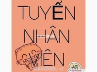 Cần tuyển dụng 01 nhân viên kế toán Cần tuyển dụng 01 nhân viên kế toán