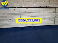Gỗ thông mỹ giá rẻ Đà Lạt Lâm Đồng Gỗ thông mỹ giá rẻ Đà Lạt Lâm Đồng