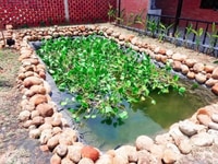 Garden House Bà Rịa Vũng Tàu. Ký ức tuổi thơ, an yên tìm về Garden House Bà Rịa Vũng Tàu. Ký ức tuổi thơ, an yên tìm về