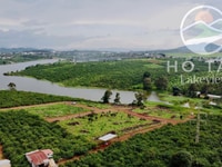 Sở hữu ngay mảnh đất Hồ Tây Di Linh trồng rau nuôi cá thanh toán 200tr Sở hữu ngay mảnh đất Hồ Tây Di Linh trồng rau nuôi cá thanh toán 200tr