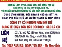 Công ty Ngọc Ánh có 10 năm kinh nghiệm cung ứng nhanh LĐPT tại Hà Nội