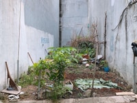 KDC Rạng Đông, Đinh Đức Thiện, Bình Chánh còn 5 lô DT 80m2- Giá 2.3tỷ KDC Rạng Đông, Đinh Đức Thiện, Bình Chánh còn 5 lô DT 80m2- Giá 2.3tỷ