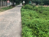Đất Đường 6 Cách Chợ Xuân Hoà 700m Đất Đường 6 Cách Chợ Xuân Hoà 700m