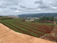 Bán Đất Thổ Cư Vị Trí Rất Đẹp View Thung Lũng Trực Thuộc TP.Đà Lạt Bán Đất Thổ Cư Vị Trí Rất Đẹp View Thung Lũng Trực Thuộc TP.Đà Lạt