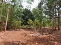 Cần bán 5000m2 đất đỏ Bazan thuộc xã bảo bình huyện cẩm mỹ Cần bán 5000m2 đất đỏ Bazan thuộc xã bảo bình huyện cẩm mỹ
