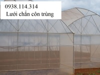 Lưới chắn côn trùng, lưới bao che vườn Lưới chắn côn trùng, lưới bao che vườn