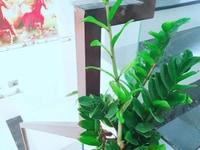 Xe hơi đỗ cửa, nhà 2 tầng 45m2 Tân kỳ tân quý Tân Phú, chỉ 4,4 tỷ Xe hơi đỗ cửa, nhà 2 tầng 45m2 Tân kỳ tân quý Tân Phú, chỉ 4,4 tỷ