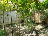 Tôi bán nhà Phạm Văn Hai, Bình Chánh đối diện Hóc Môn 120m2 Tôi bán nhà Phạm Văn Hai, Bình Chánh đối diện Hóc Môn 120m2