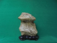Bán đá cảnh tự nhiên,lão trư cao 35cm Bán đá cảnh tự nhiên,lão trư cao 35cm