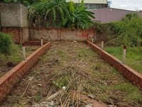 Bán gấp đường Bưng Ông Thoàn, Phú Hữu, Q9