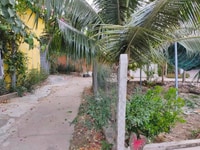 Bán đất tặng dãy trọ 7 phòng hẻm oto đường Xuân Lạc Bán đất tặng dãy trọ 7 phòng hẻm oto đường Xuân Lạc