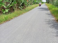 Cần bán 50.000m2 đất vườn đường cặp kinh 24 xã thủy đông thạnh hóa Cần bán 50.000m2 đất vườn đường cặp kinh 24 xã thủy đông thạnh hóa