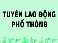 Cần tuyển nhân viên nam nữ bán hàng cho siêu thị mini gấp Cần tuyển nhân viên nam nữ bán hàng cho siêu thị mini gấp