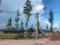 Cơn sốt đất nền chợ Thạnh Phú Bến Tre Cơn sốt đất nền chợ Thạnh Phú Bến Tre