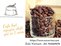 Cà phê hạt Robusta loại 1 thượng hạng tại Thuận An Bình Dương Cà phê hạt Robusta loại 1 thượng hạng tại Thuận An Bình Dương